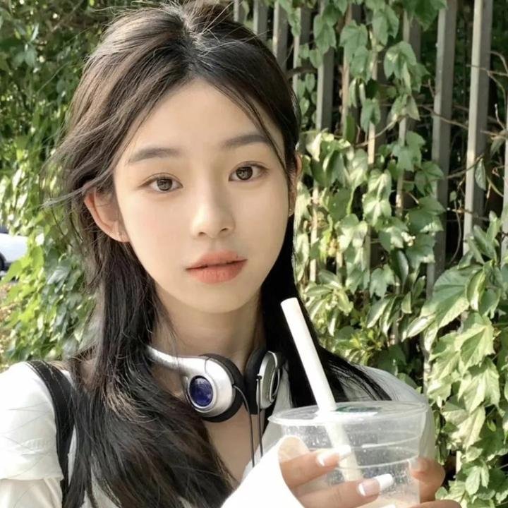 完美盗贼